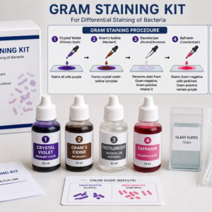 Gram Staining Complete Kit for Bacteria