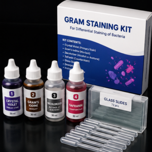 Gram Staining Complete Kit